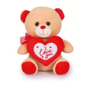Orso Peluche con Scritto I love you